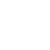 Left Arrow Icon