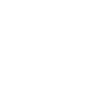 Close Icon