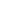 Active Icon